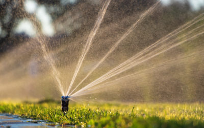 5 Signs Your Irrigation System Needs Repair