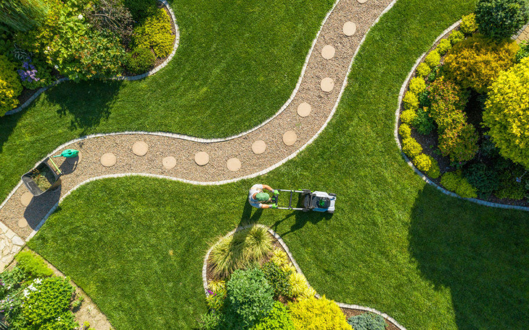 Big Garden Grass Field Mowing
