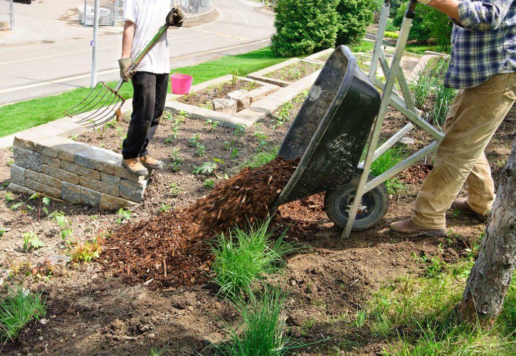 Compost-Harvesting-and-Regeneration