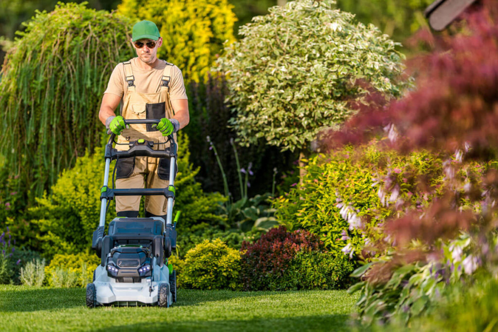Mowing Grass in His Garden