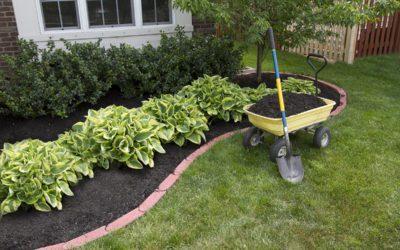 What is drought tolerant planting?