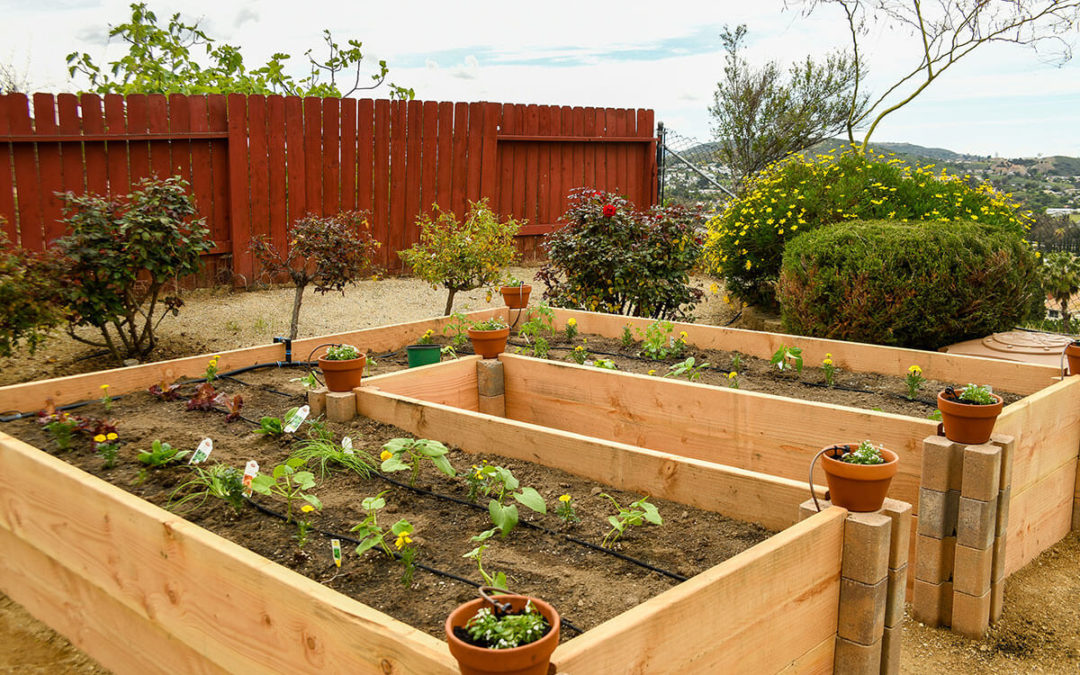 Raised Bed Garden Step Twelve