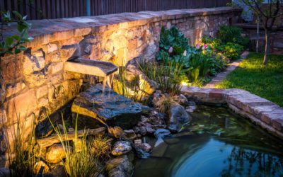 Create a Backyard Paradise with a Water Feature Installation