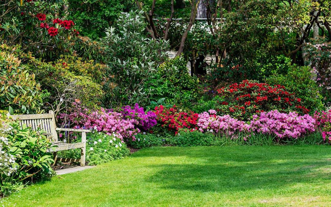 featuredimage-Everything-you-should-know-about-soft-landscaping