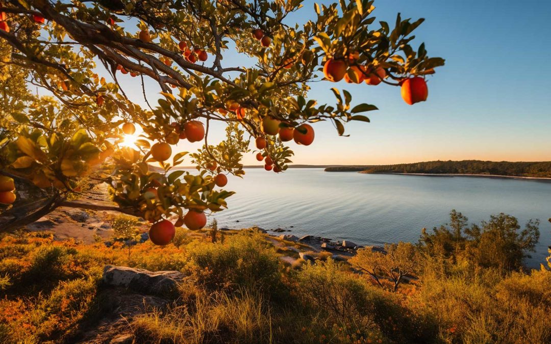 featuredimage-Is-October-a-good-time-to-prune-my-apple-tree