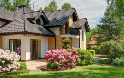 Landscape Maintenance Services