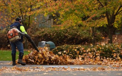Seasonal Landscape Cleanups for Commercial and Strata Grounds