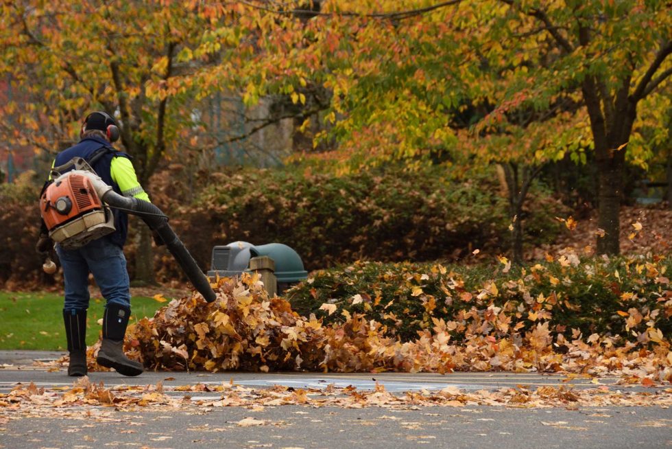 Seasonal Landscape Cleanups for Commercial & Strata Grounds Emerald