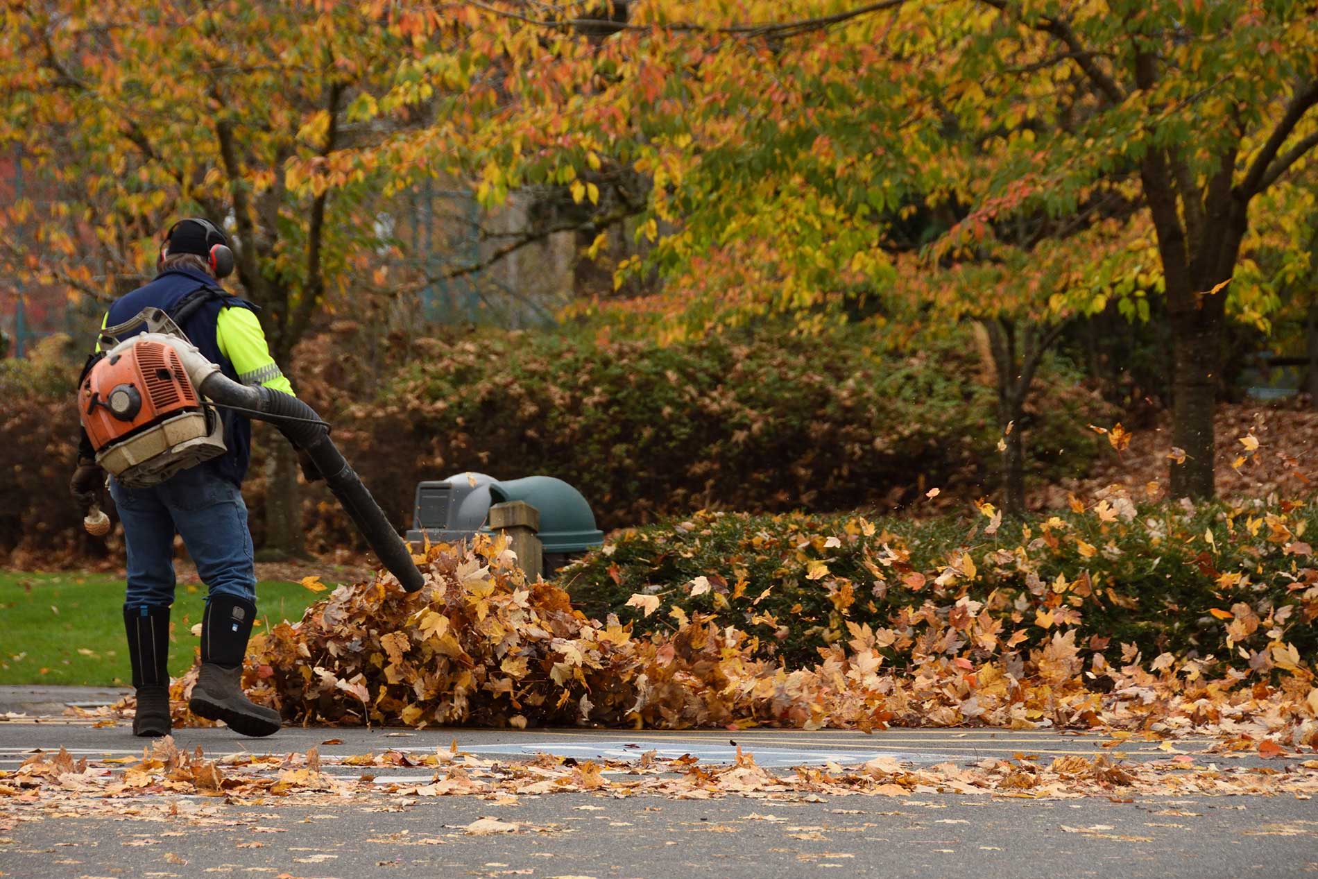 Seasonal Landscape Cleanups for Commercial & Strata Grounds Emerald