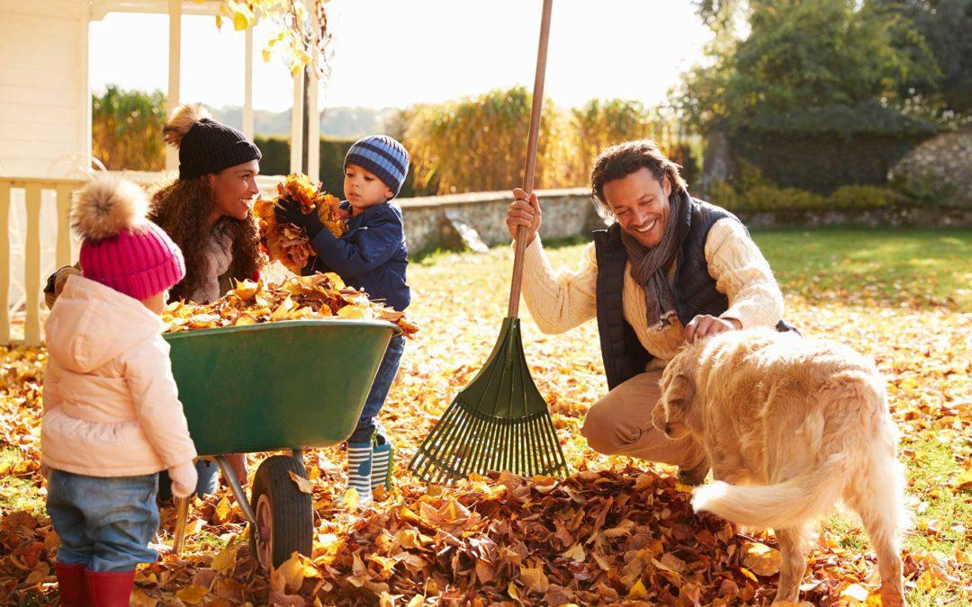 featuredimage-Should-I-rake-the-leaves-off-my-lawn