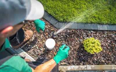Summer Irrigation Tips: Keep Your Lawn Green Without Wasting Water