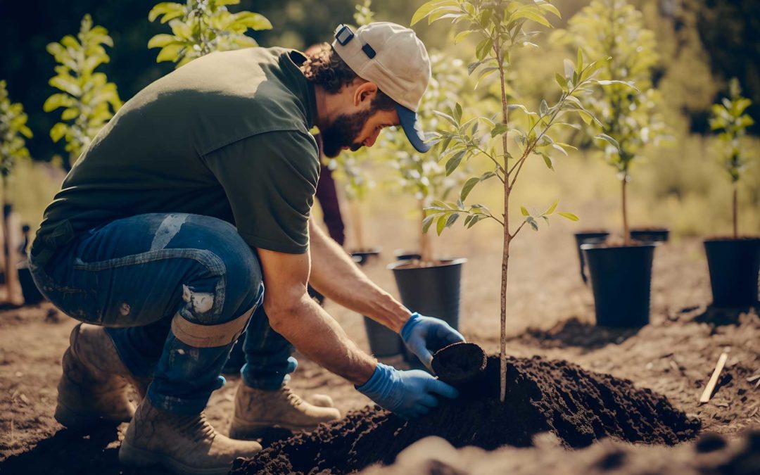 featuredimage-The-Green-Path--How-to-Become-a-Horticulturalist-in-BC-