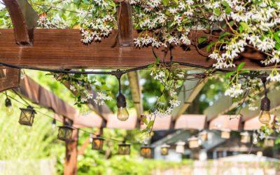 Thinking about a pergola for 2022?