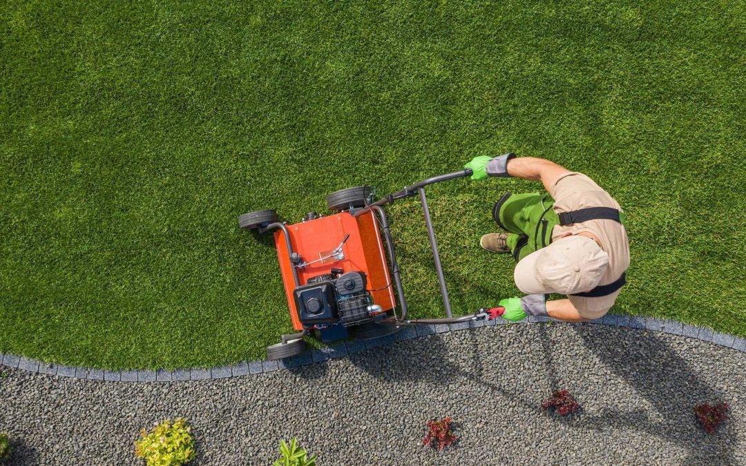 featuredimage Tips for Revitalizing Your Lawn Year Round