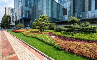 Top 5 Things to Consider for Commercial Landscaping Maintenance