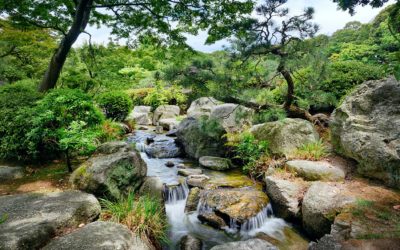Transform Your Penticton Backyard with a Custom Creek
