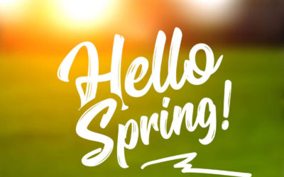 Spring Cleanup Services – Get Ready for the Season of Growth!