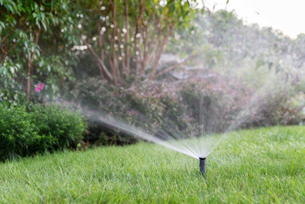 keep-your-grass-healthy-right-down-to-the-roots-and-blades