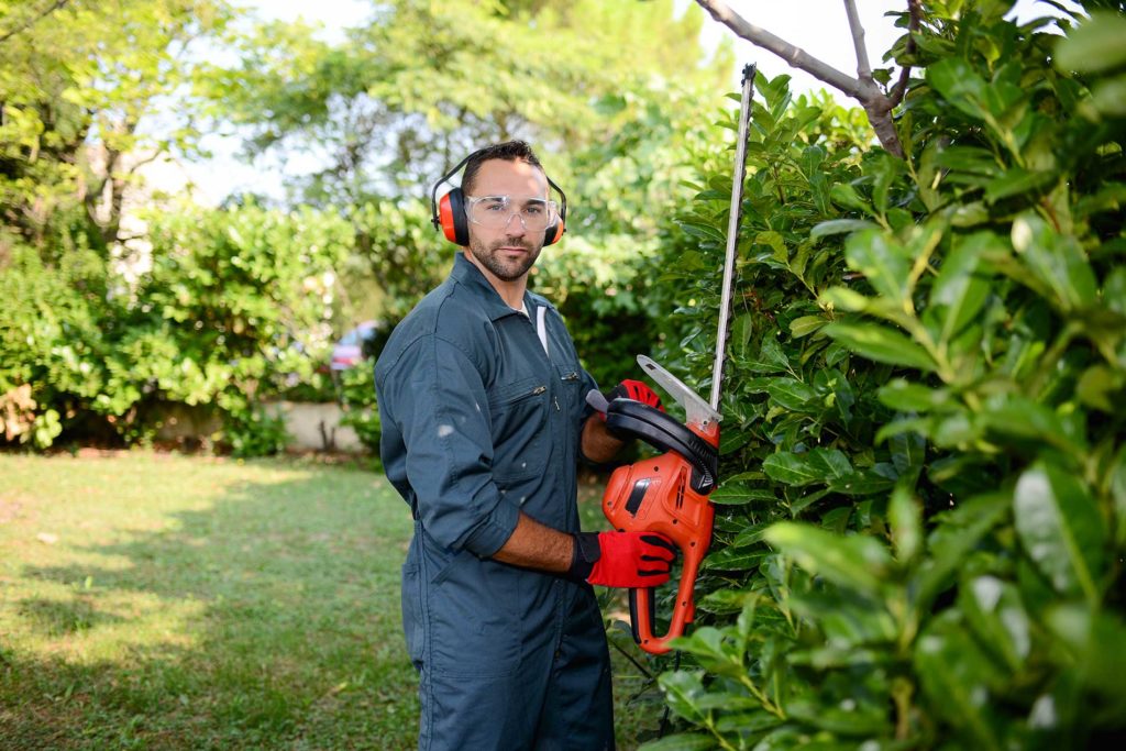 landscaper-working-on-trimming-bushes