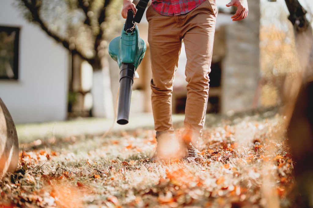 technician cleaning up the yard for leaves