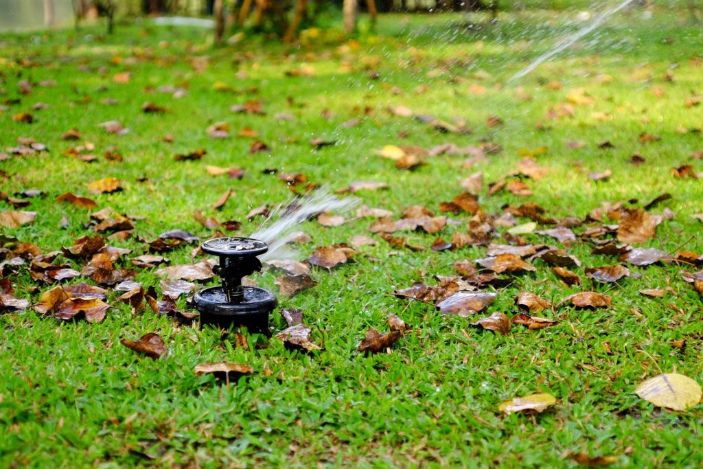 watering your lawn and winter coming up