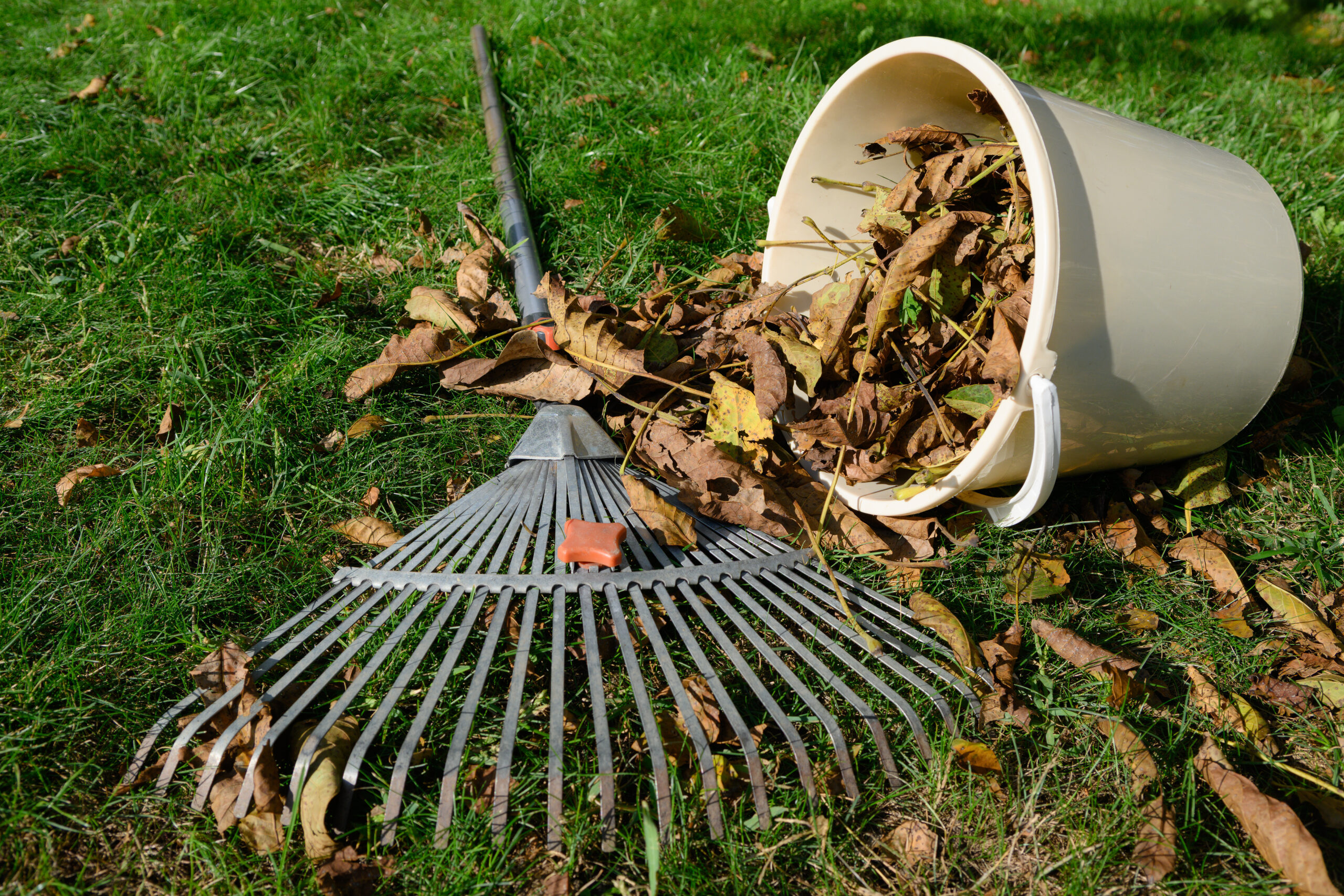 Is Your Yard Ready for Winter? Here’s A Fall Landscaping Checklist