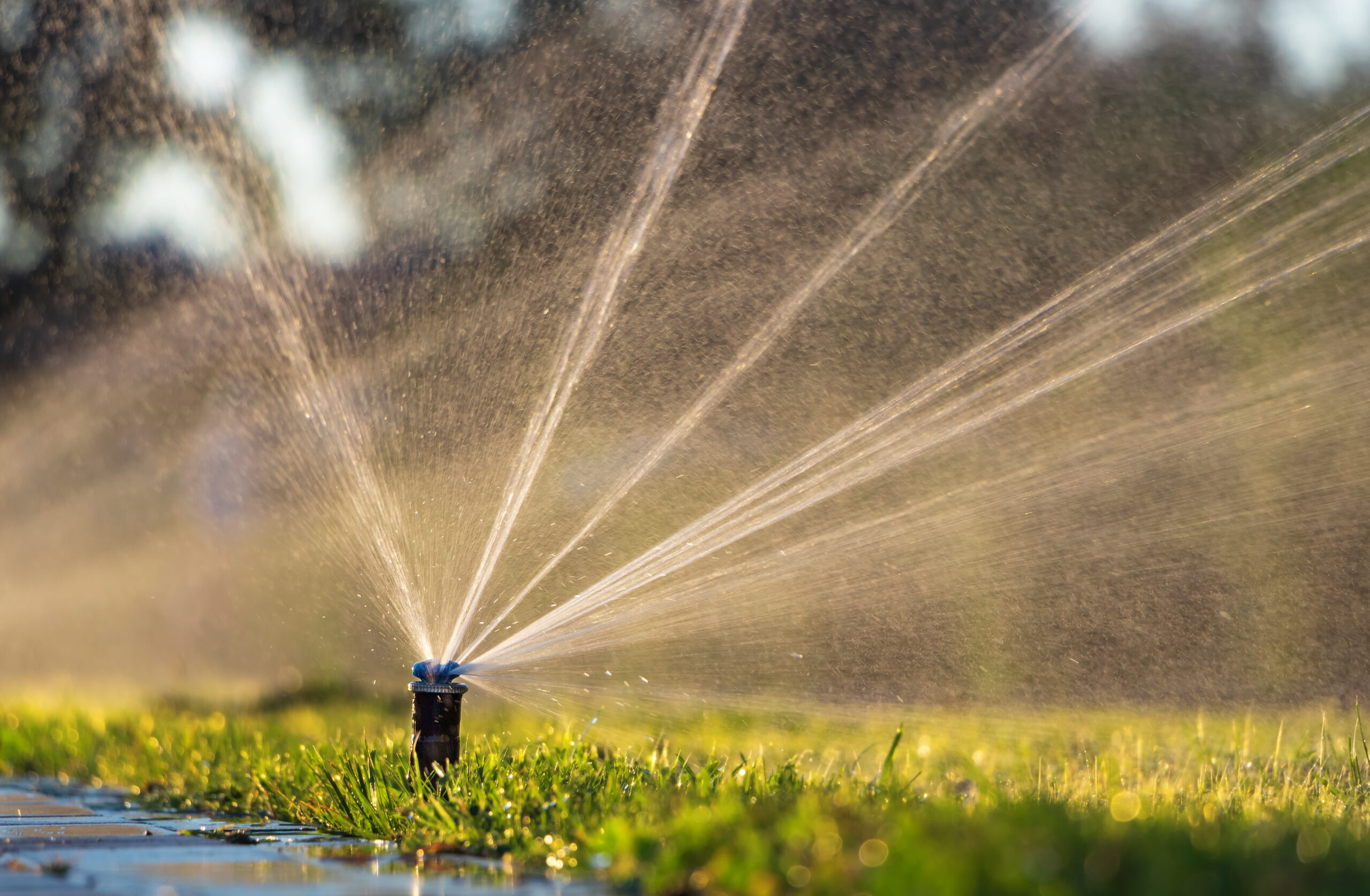 5 Signs Your Irrigation System Needs Repair