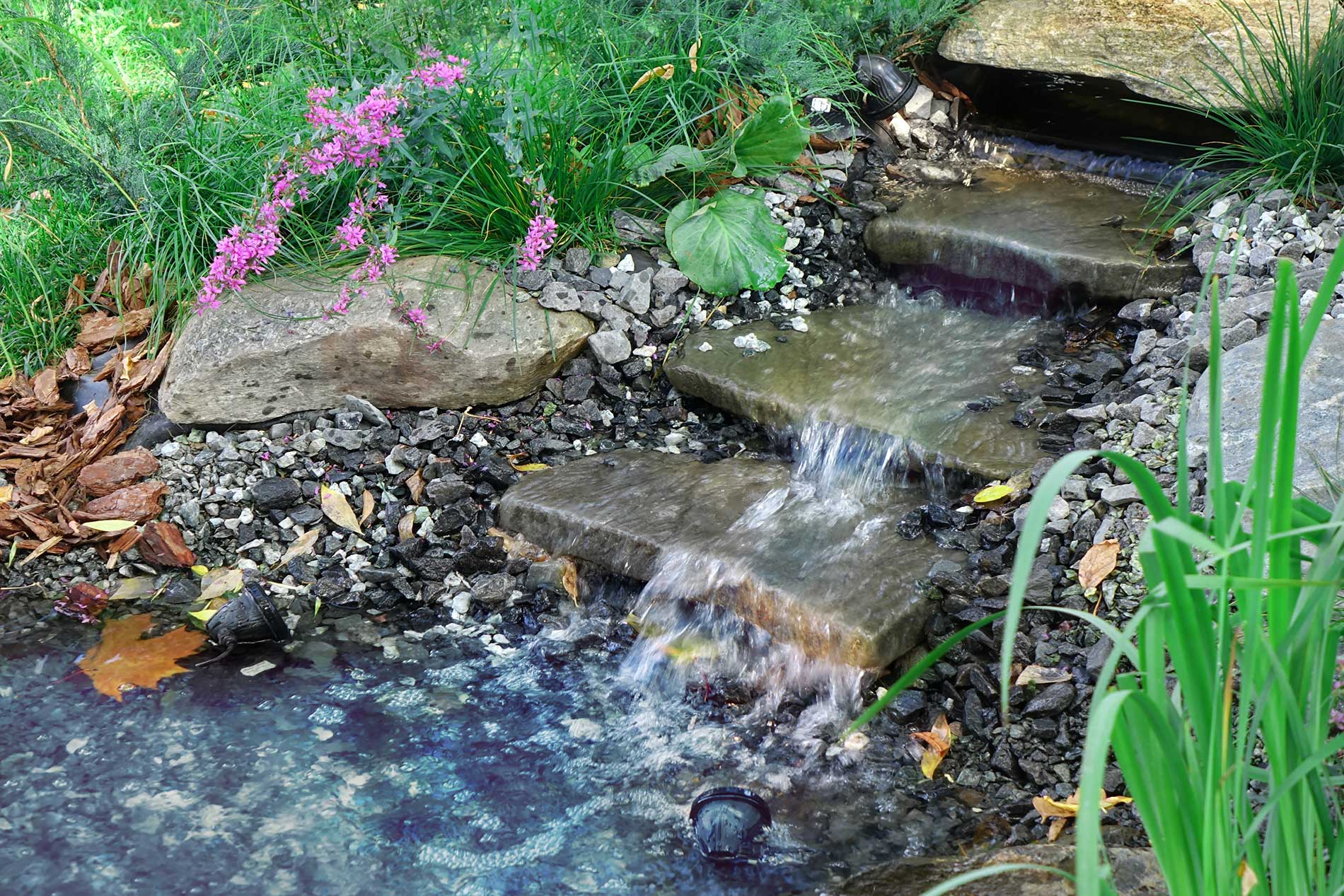 Appeal of Creeks in Backyards