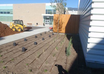 Emerald Irrigation and Landscaping