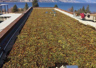 Emerald Irrigation and Landscaping