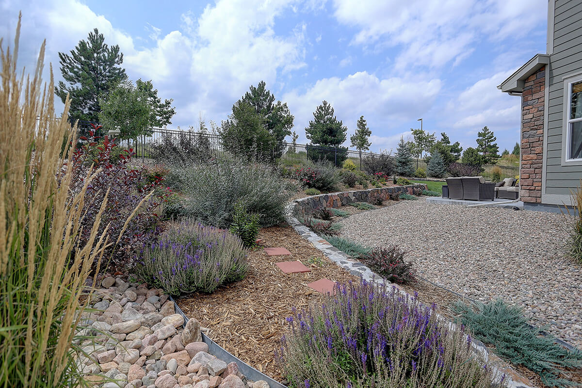 Beautiful residential rock, stone, and plant xeriscape