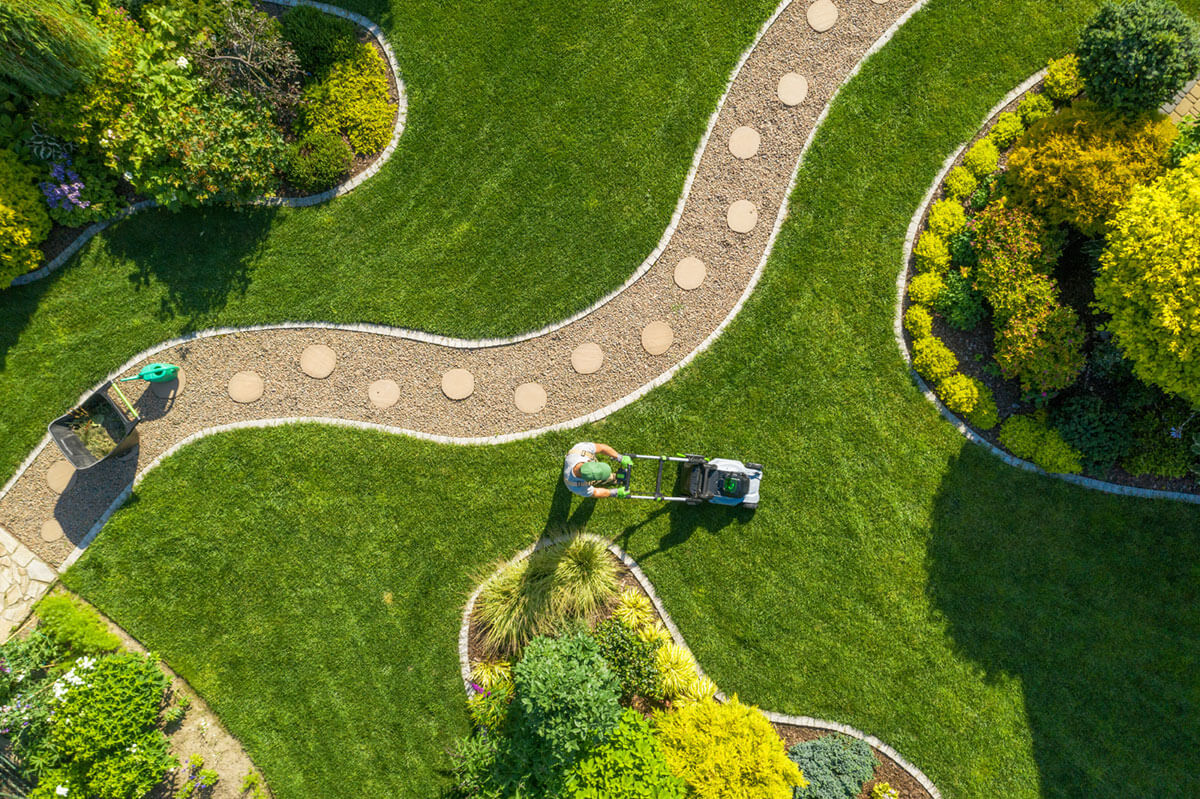 Big Garden Grass Field Mowing