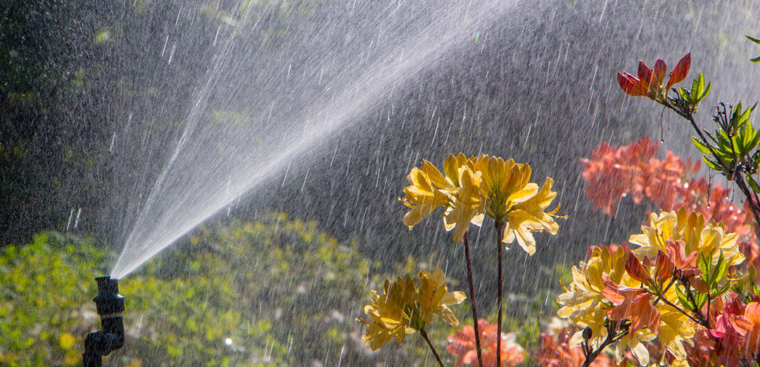 How Proper Irrigation Design Can Increase Property Value and Save Water
