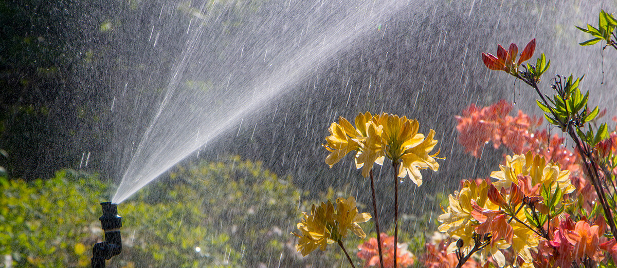 Clever garden with a fully automatic irrigation system