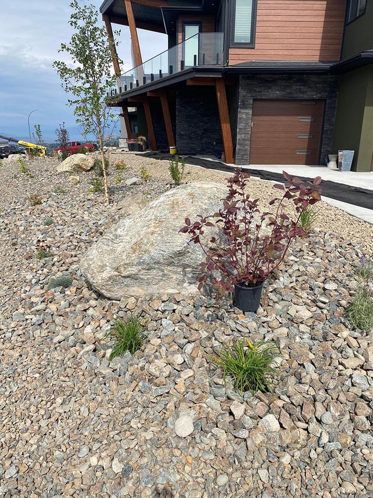 Emerald After Xeriscaping and planting almost done