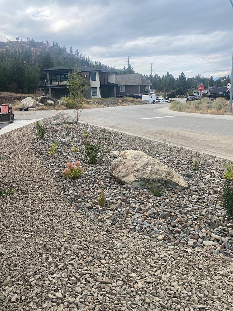Emerald After Xeriscaping