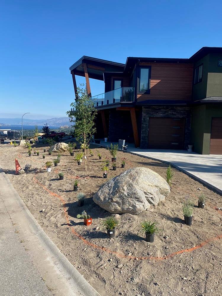 Emerald Before Xeriscaping and planting