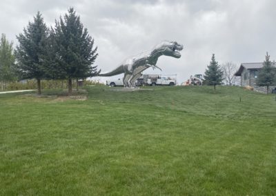 Emerald Irrigation landscaping near dinosaur