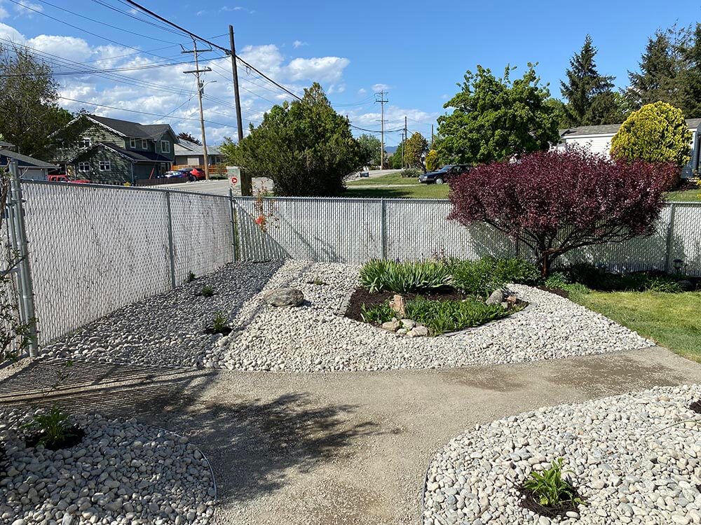 Emerald Xeriscaping along fence