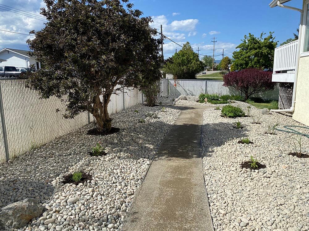 Emerald Xeriscaping along walkway