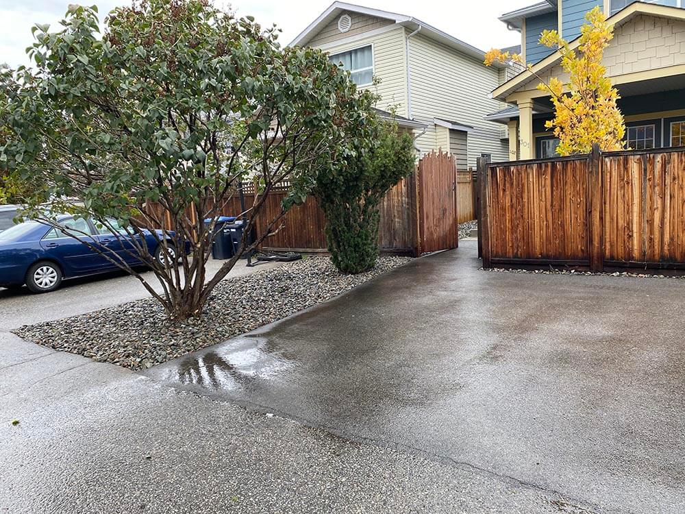 Emerald Xeriscaping around trees near wooden fence