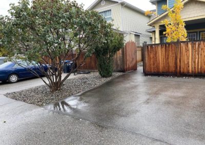 Emerald Xeriscaping around trees near wooden fence