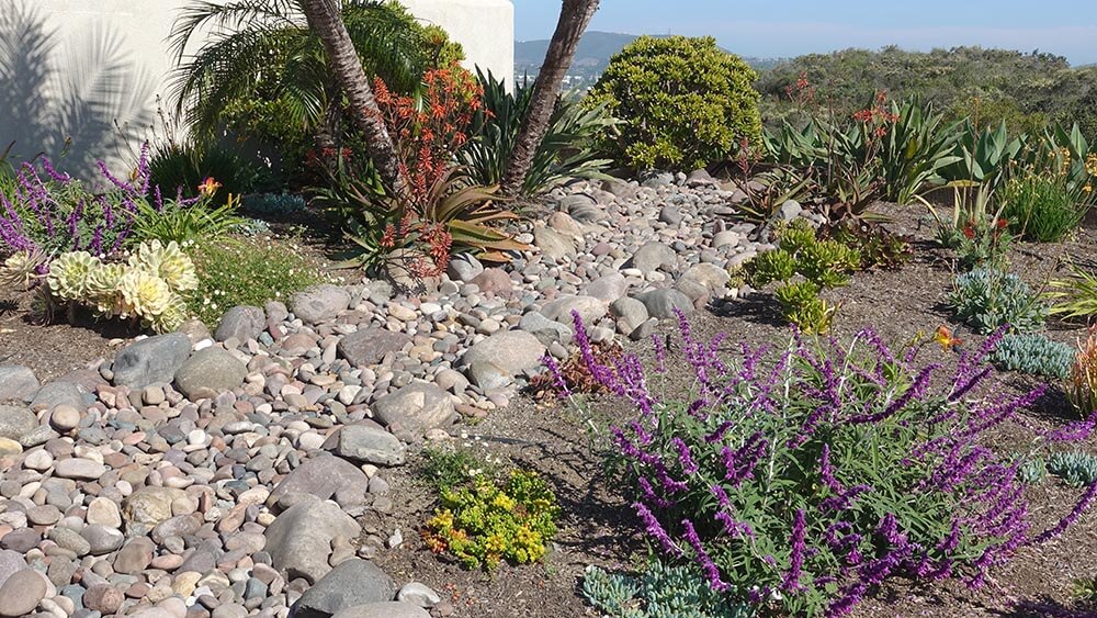 Man-made dry wash incorporated into drought tolerant landscape design