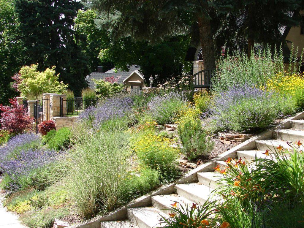 Meadowscaping,-Permaculture,-and-Xeriscaping Meadowscaping,-Permaculture,-and-Xeriscaping