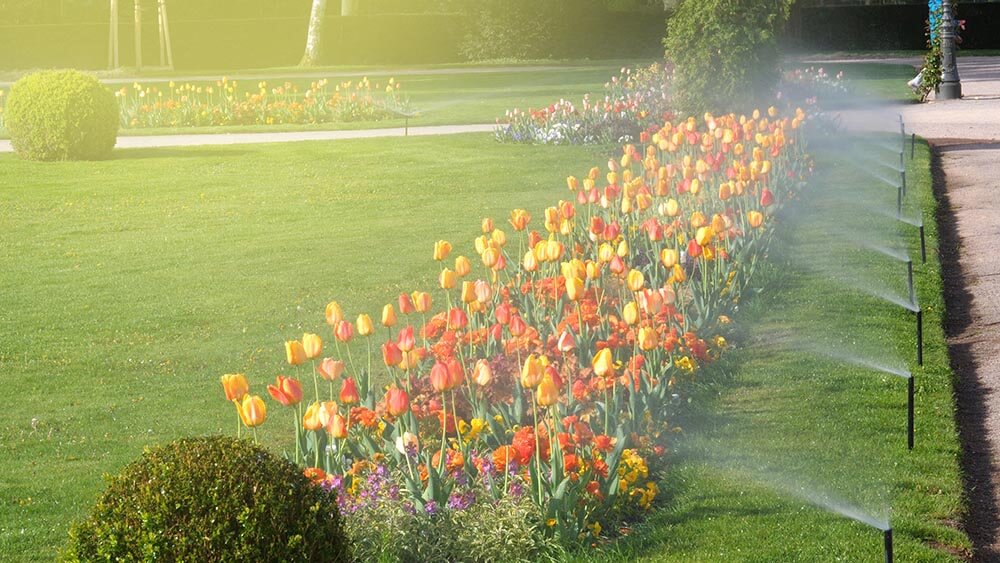 Smart garden automatic sprinkler irrigation system working