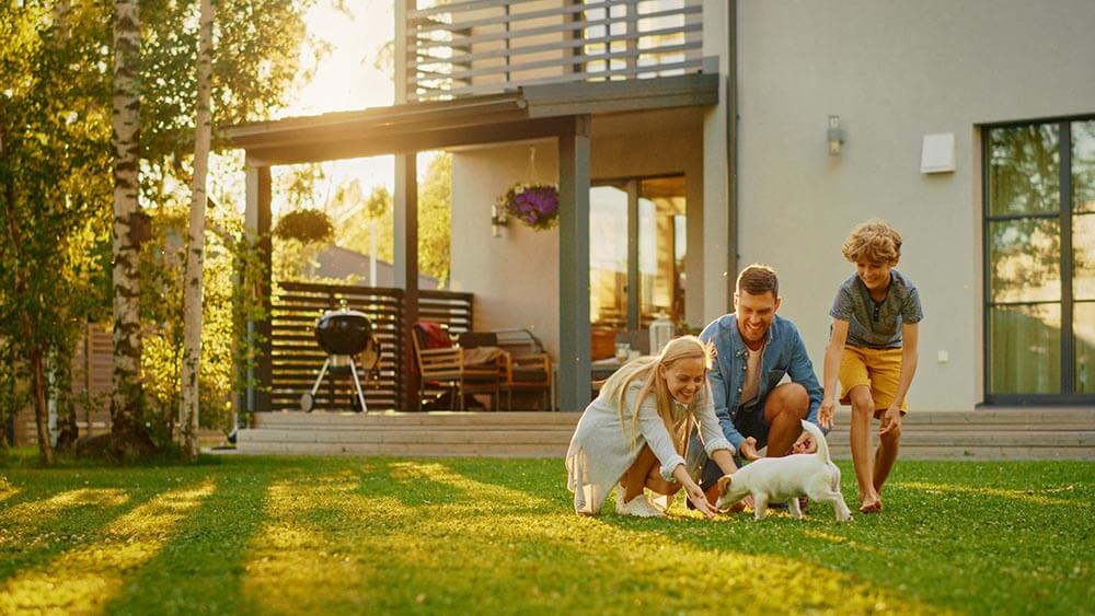 Get Your Backyard Spring-Ready: Landscaping, Irrigation & Outdoor Upgrades