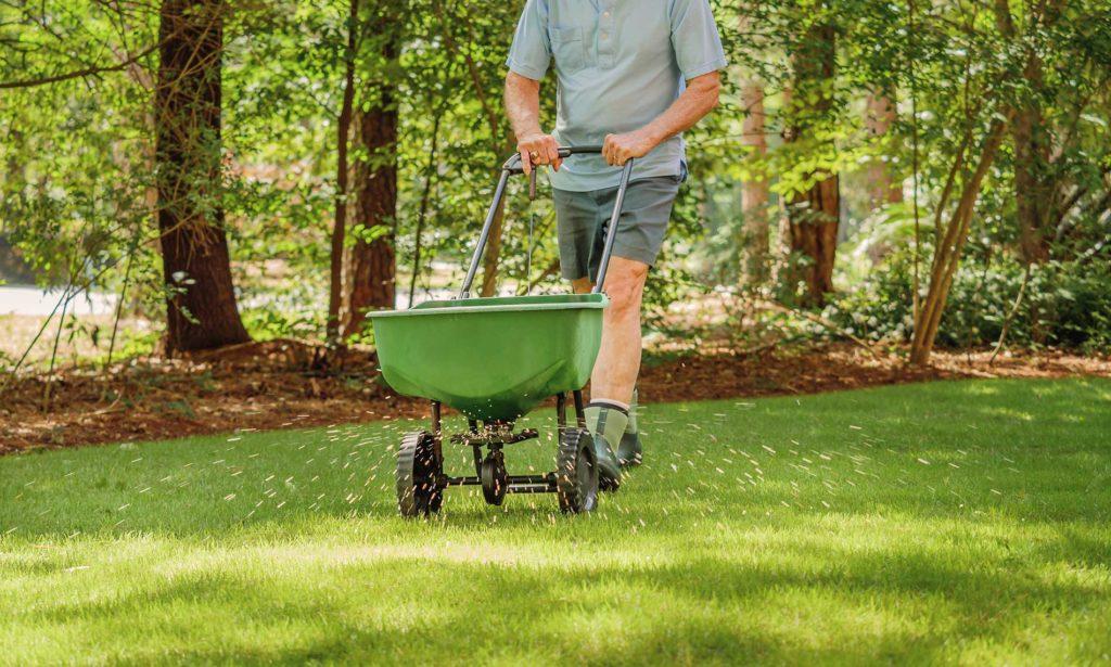 Sod-is-the-fastest-way-to-establish-a-lawn Sod-is-the-fastest-way-to-establish-a-lawn