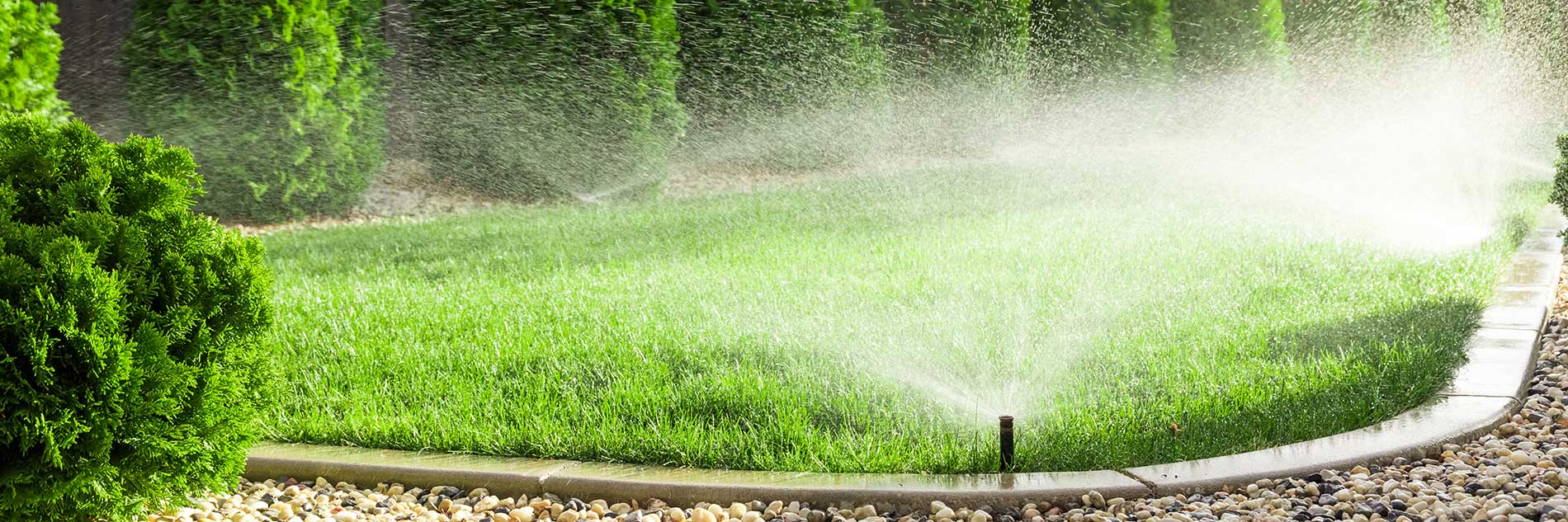 Sprinklers watering grass Sprinklers watering grass