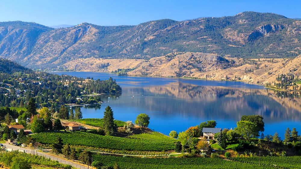 The Okanagan Advantage Expert Local Knowledge