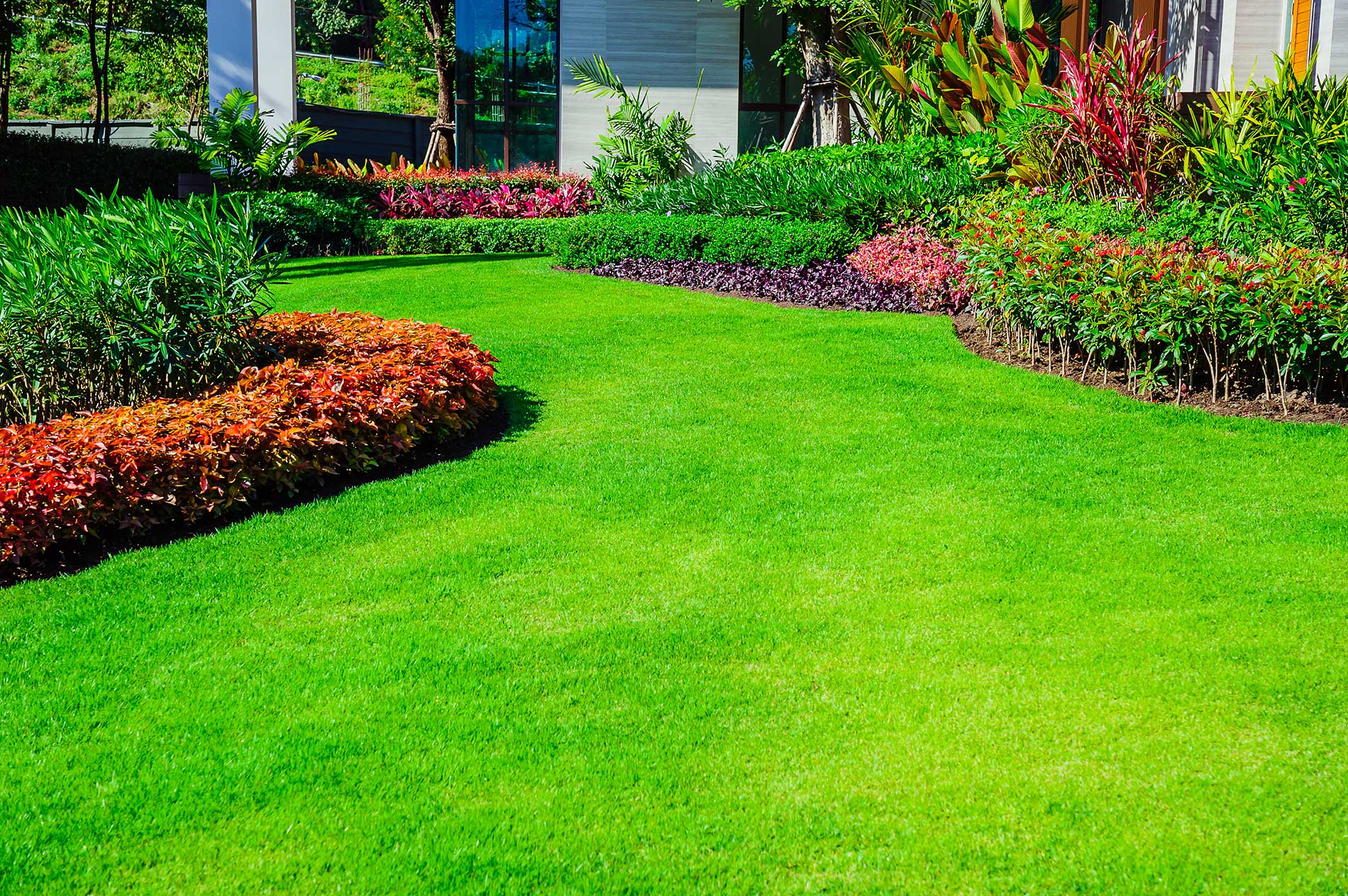 a-summer-lawn-with-landscaping-been-done-to-it a-summer-lawn-with-landscaping-been-done-to-it